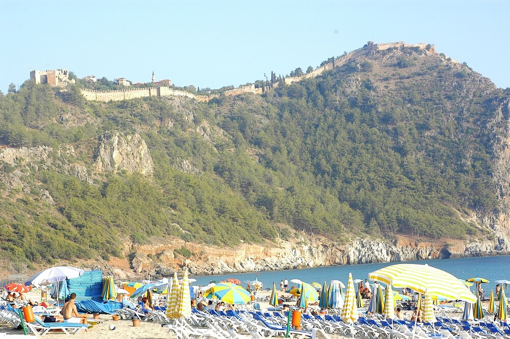 Beach/Ocean View