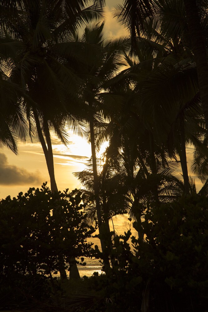 Beach/Ocean View