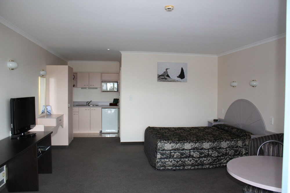 Studio - Queen Spa - Guestroom