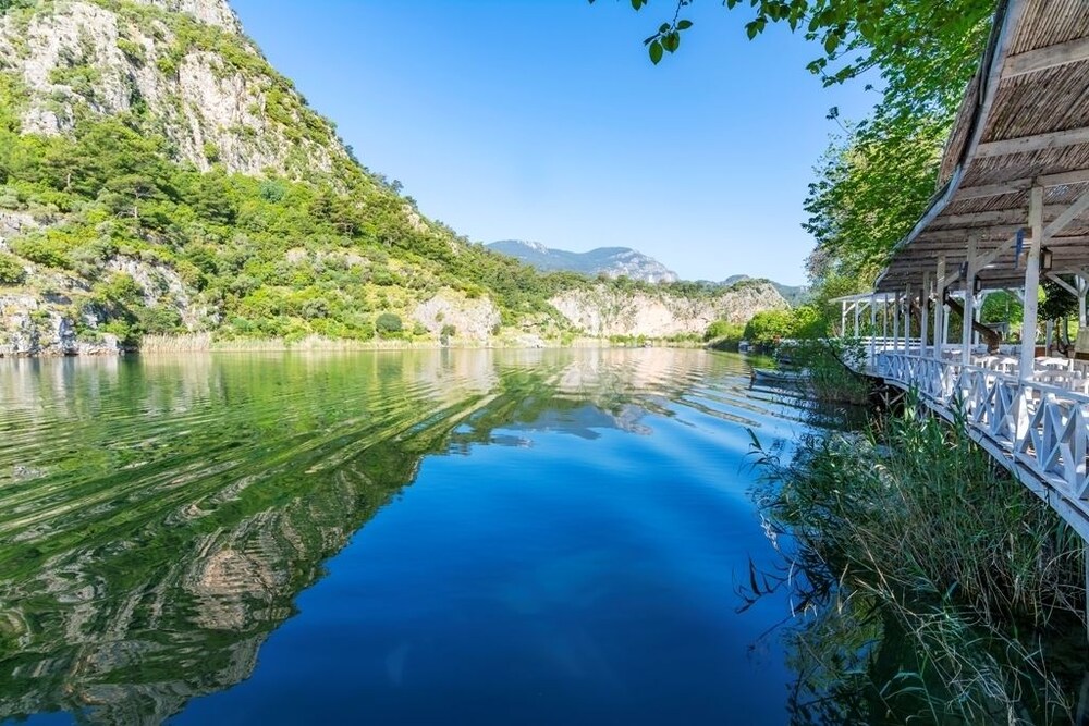 Featured Image