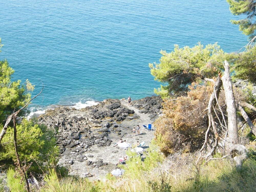 해변/바다 전망