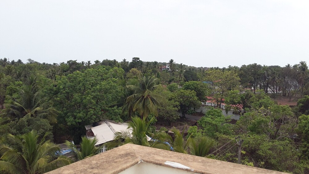 View from Hotel