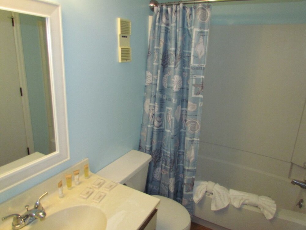 Deluxe Condo, 1 Bedroom, Kitchen, Park View - Bathroom
