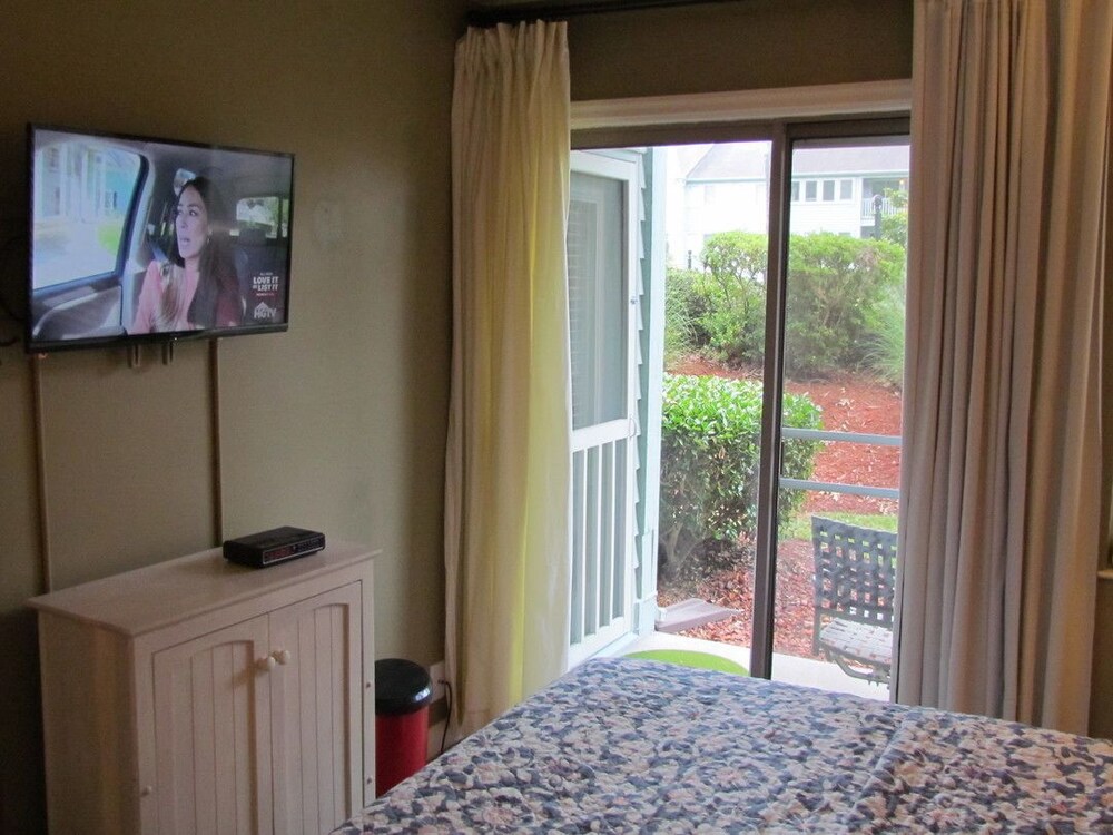 Deluxe Condo, 1 Bedroom, Kitchen, Park View - Guestroom