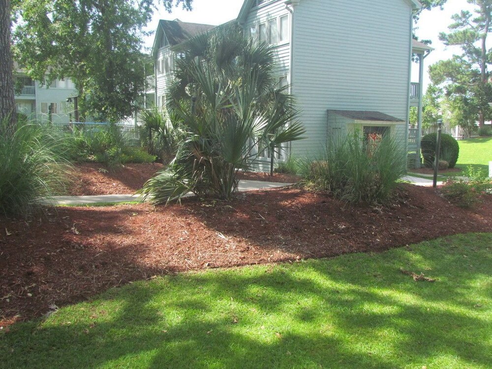 Park View