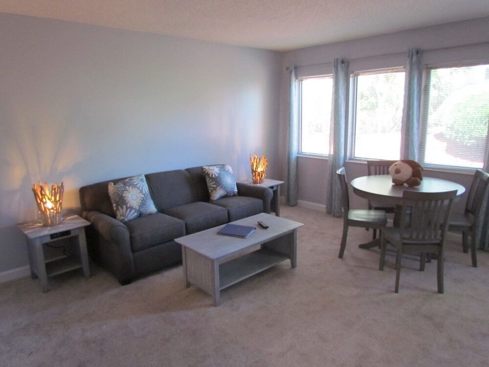 Deluxe Condo, 1 Bedroom, Kitchen, Park View - Living Room