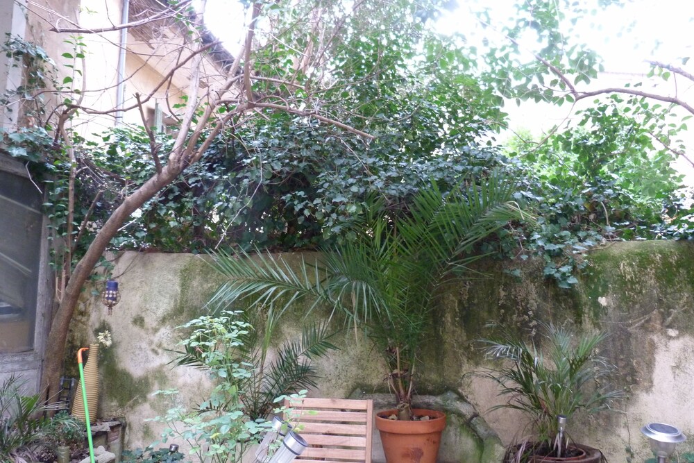 Courtyard View