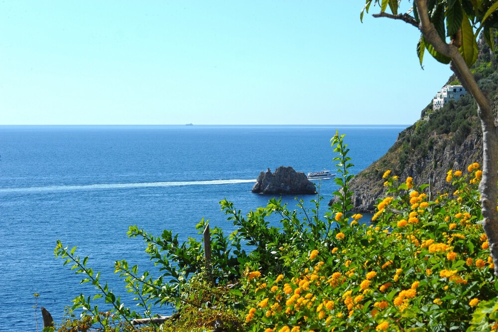 Beach/Ocean View