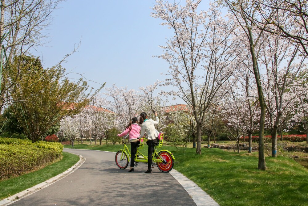 Bicycling