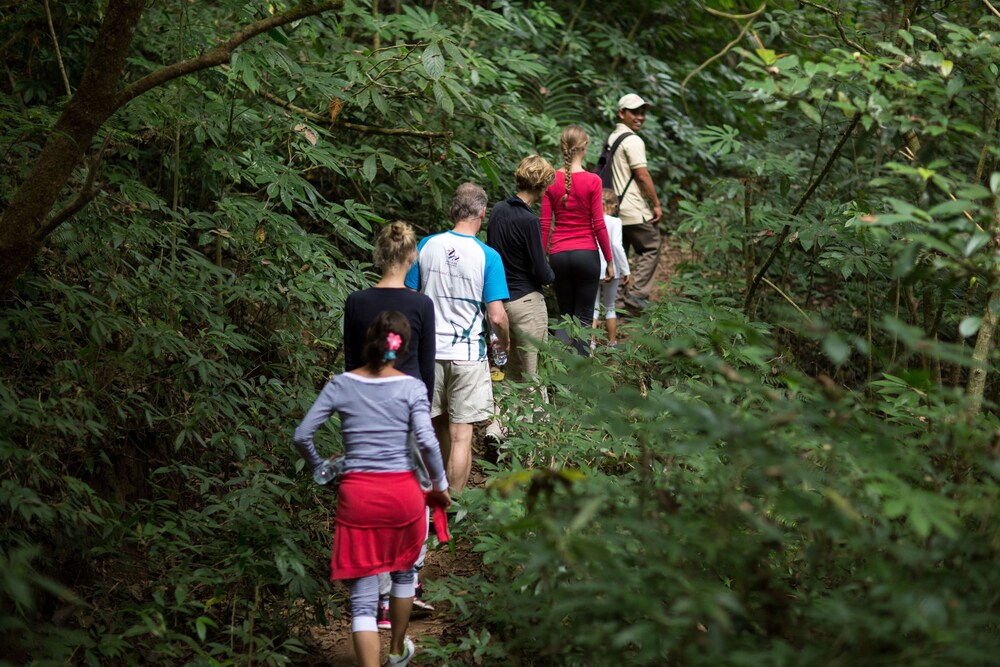 Hiking