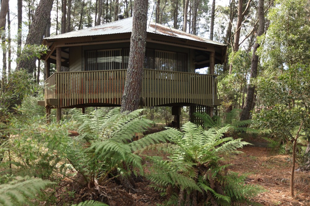 Possums couples cabins - Guestroom
