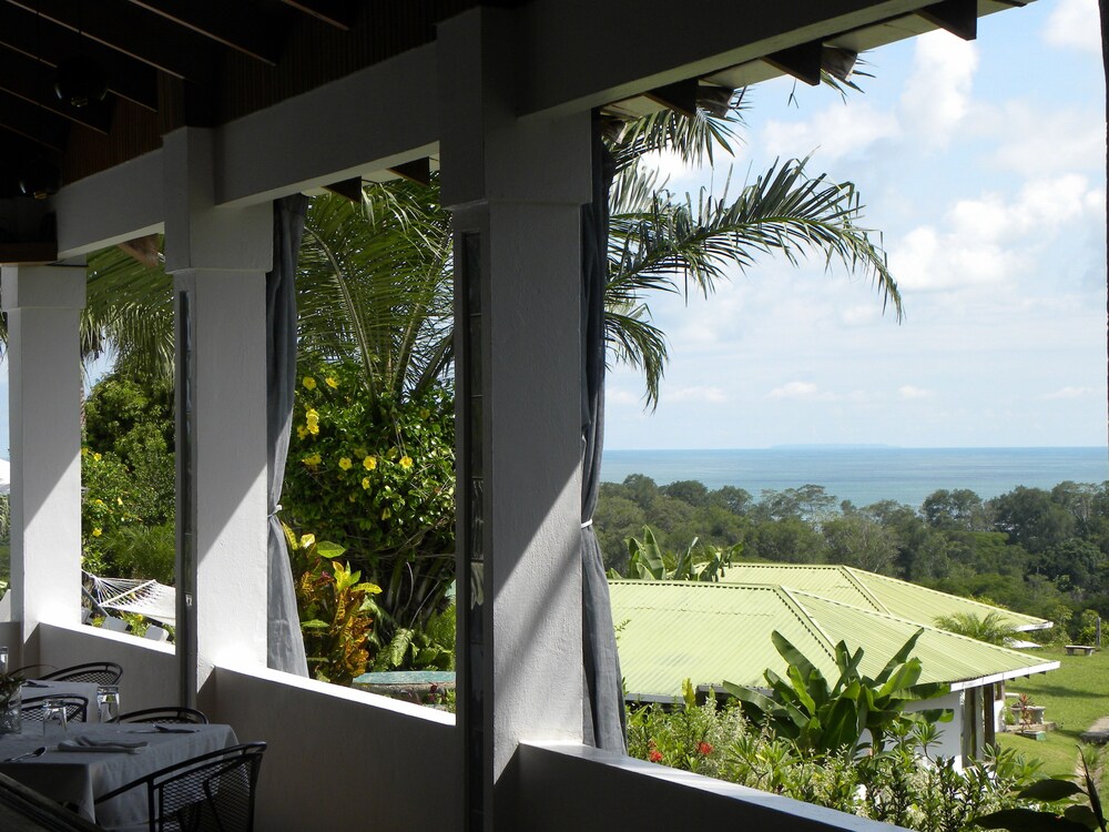 View from Hotel