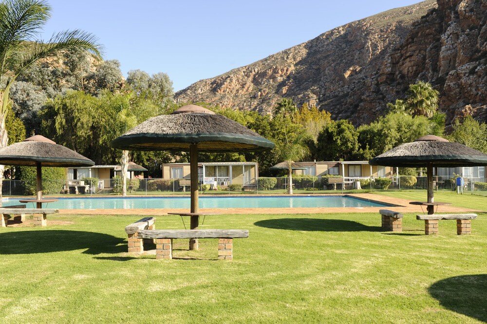 Indoor/Outdoor Pool