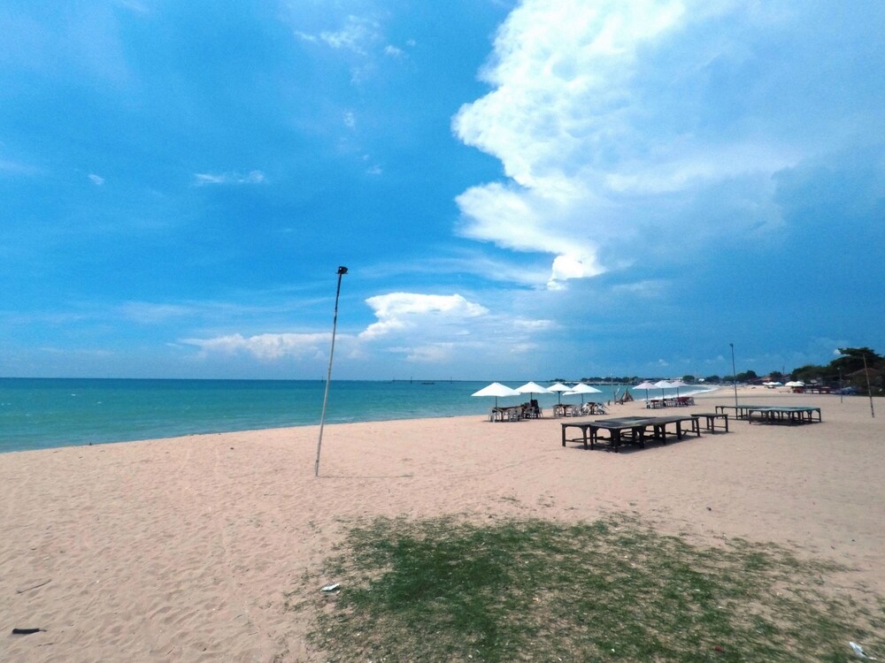 Beach/Ocean View