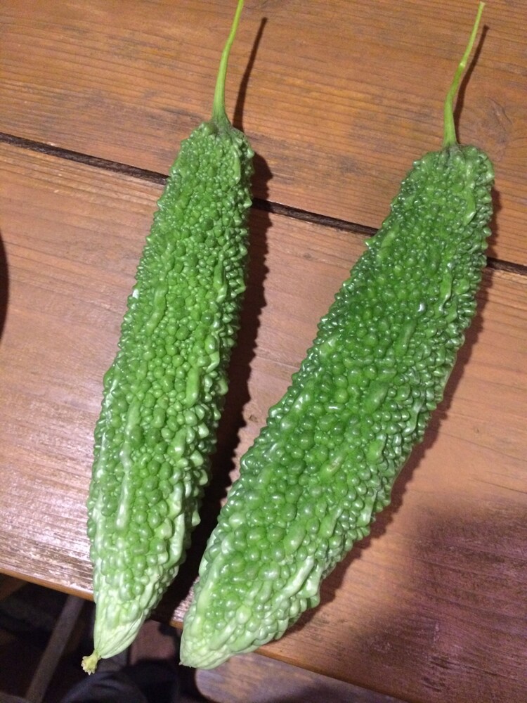 정원 전망
