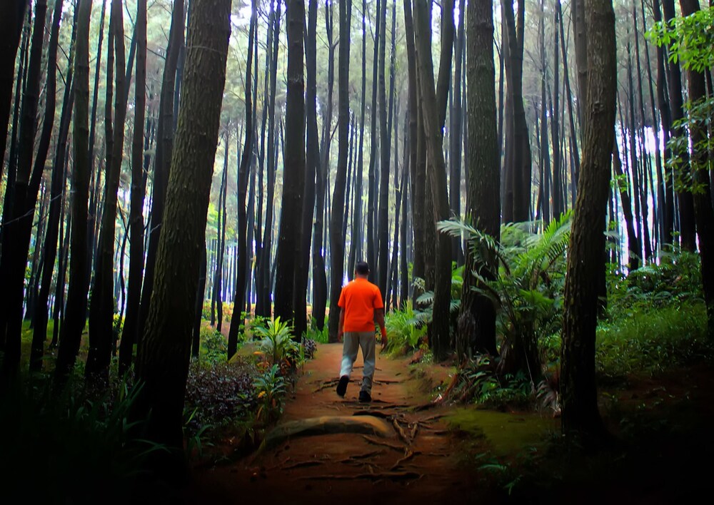 Hiking