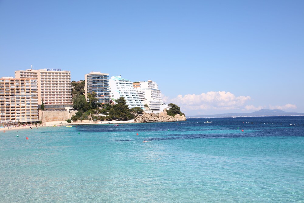 Beach/Ocean View