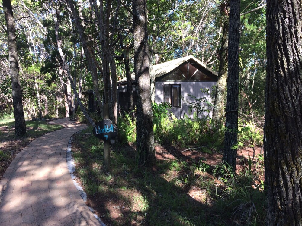 Cabin, 2 Bedrooms - Guestroom