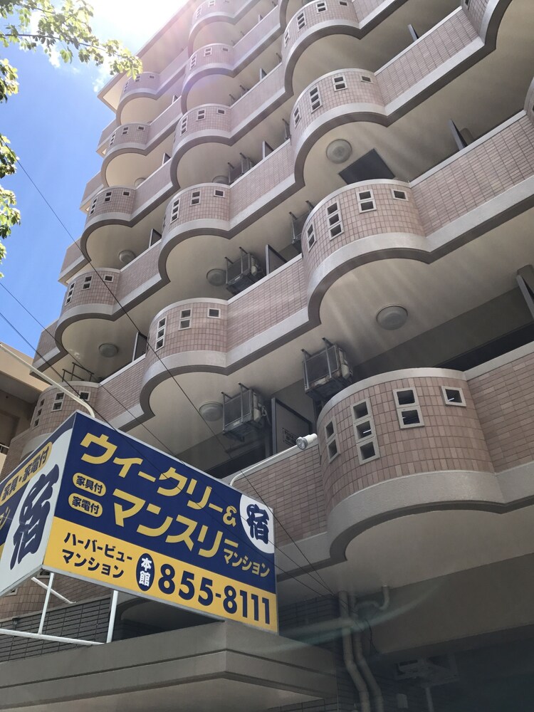대표 사진