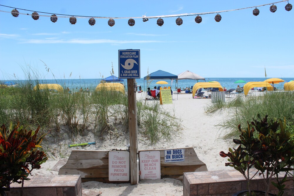 Beach/Ocean View