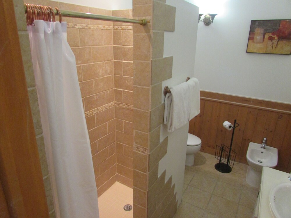 Suite Tremblant, 1 Queen Bed with Jacuzzi in Room - Bathroom Shower