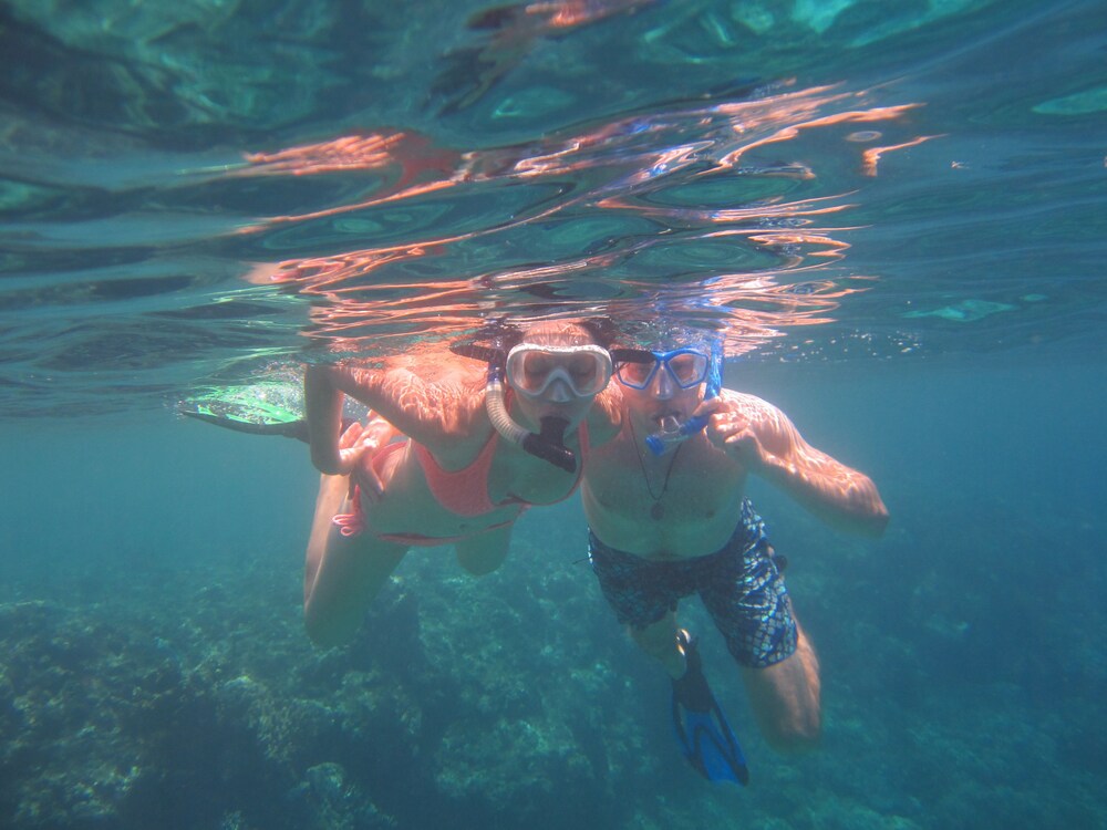 Exercise/Lap Pool