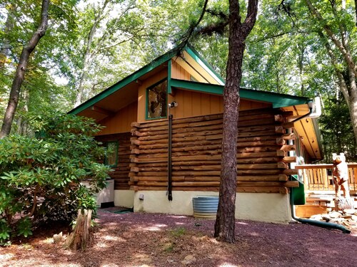 Honey Bear Log Cabin in Jim Thorpe