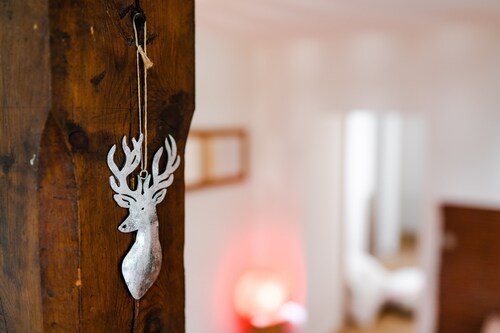 Grand Appartement avec beaucoup de cachet au coeur de Formiguères