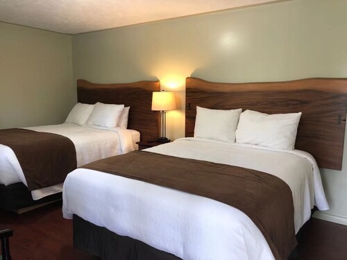 Adventure The Bruce Inn