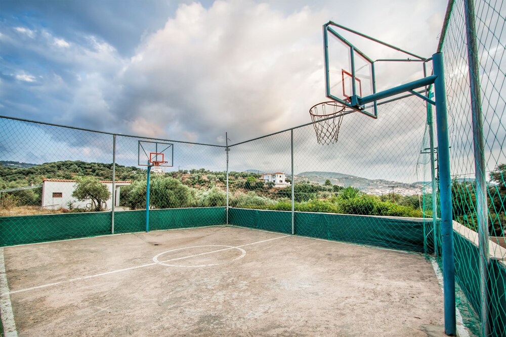 Basketball Court