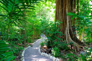 Hiking