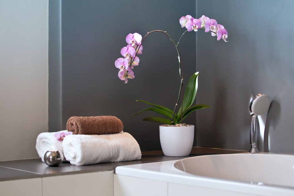 Deep Soaking Bathtub