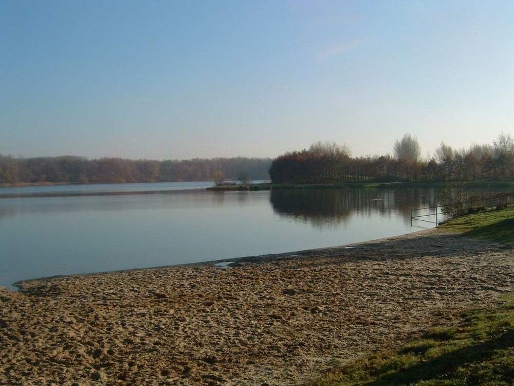 Wandelen