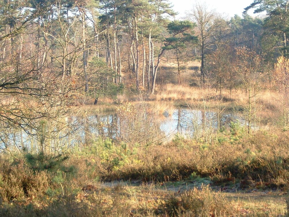 Wandelen