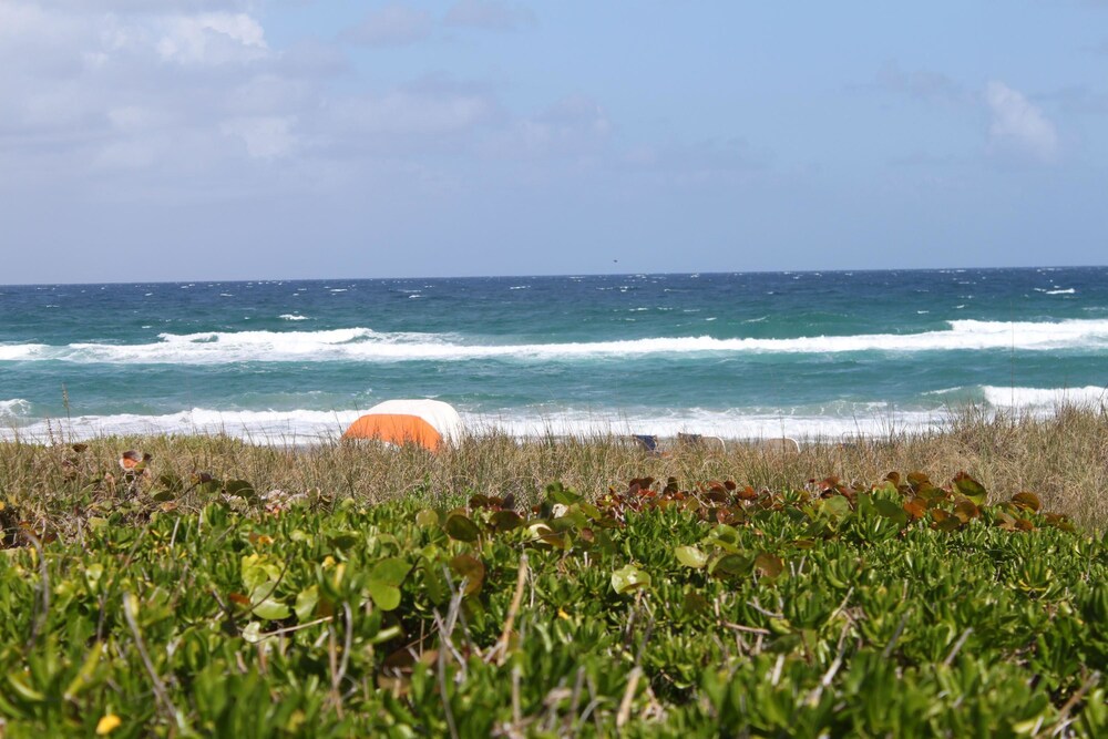 Beach/Ocean View