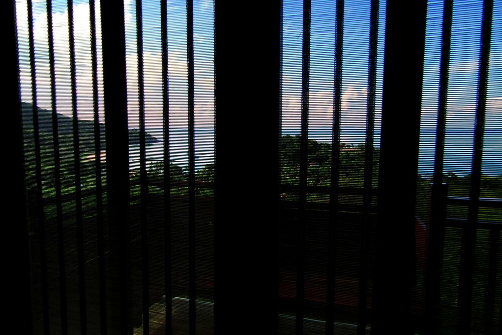 Guestroom View