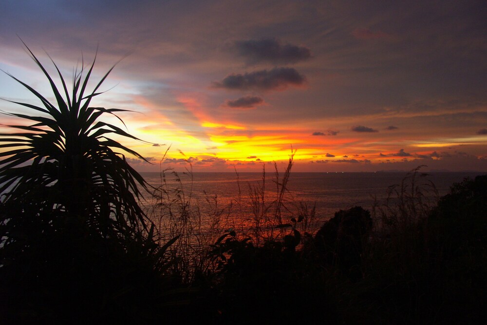 Beach/Ocean View