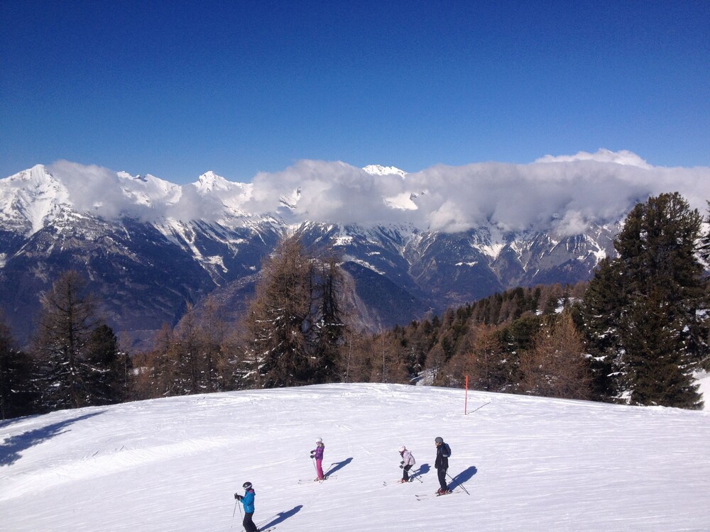 Sports d'hiver