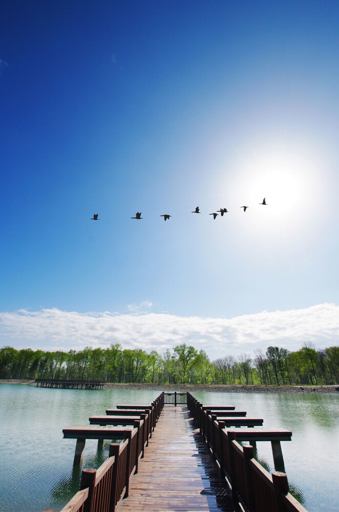 Lake View
