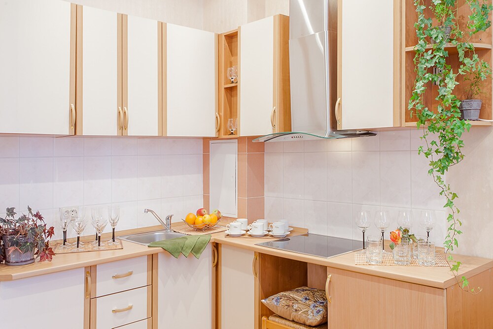 Superior Apartment, 1 Bedroom, Kitchen (Karla Marksa, 8) - In-Room Kitchen
