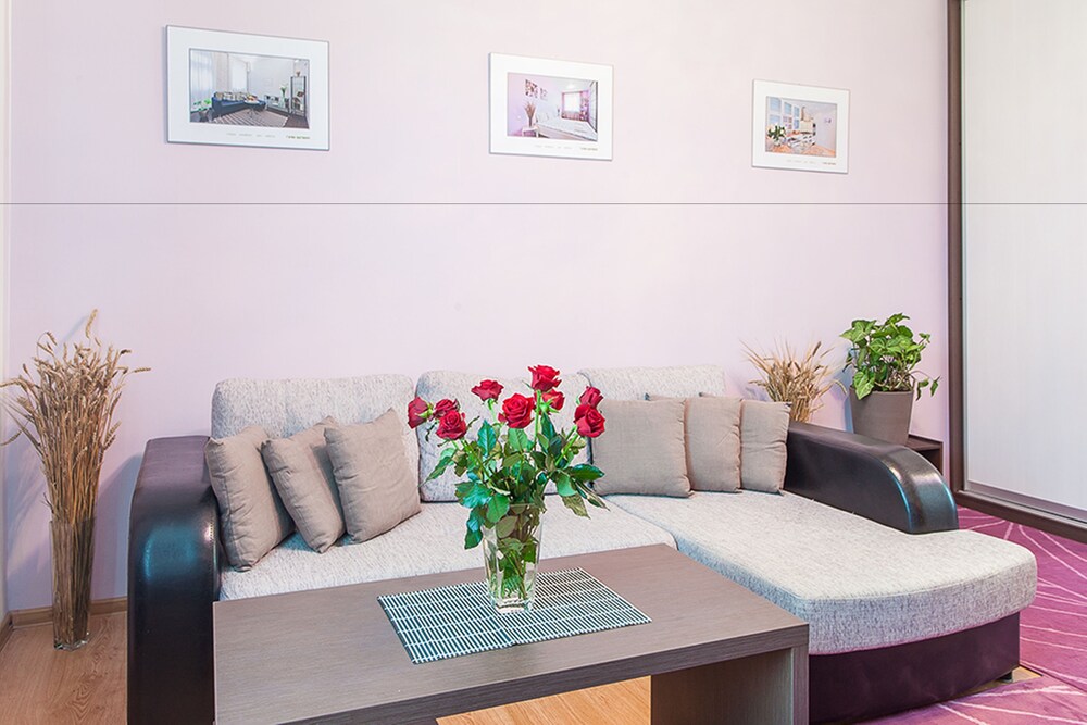 Standard Apartment, Kitchen (Internacyjanalnaja, 13) - Living Area