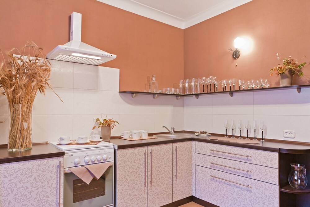 Superior Apartment, Kitchen (Praspiekt Niezalieznasci, 22) - In-Room Kitchen