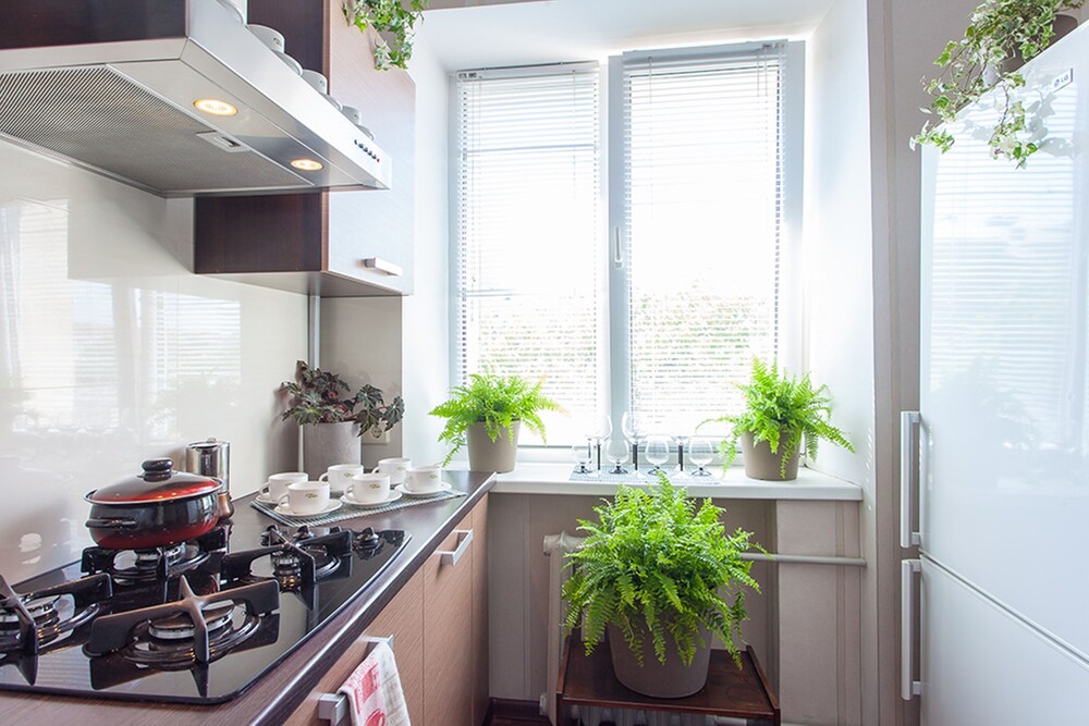 Standard Apartment, 1 Bedroom, Kitchen (Praspiekt Niezalieznasci, 52) - In-Room Kitchenette