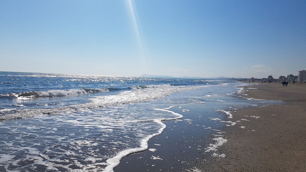 Beach/Ocean View