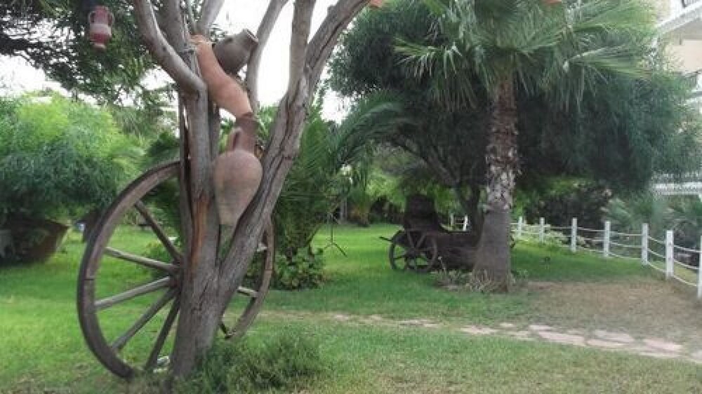 Parco della struttura