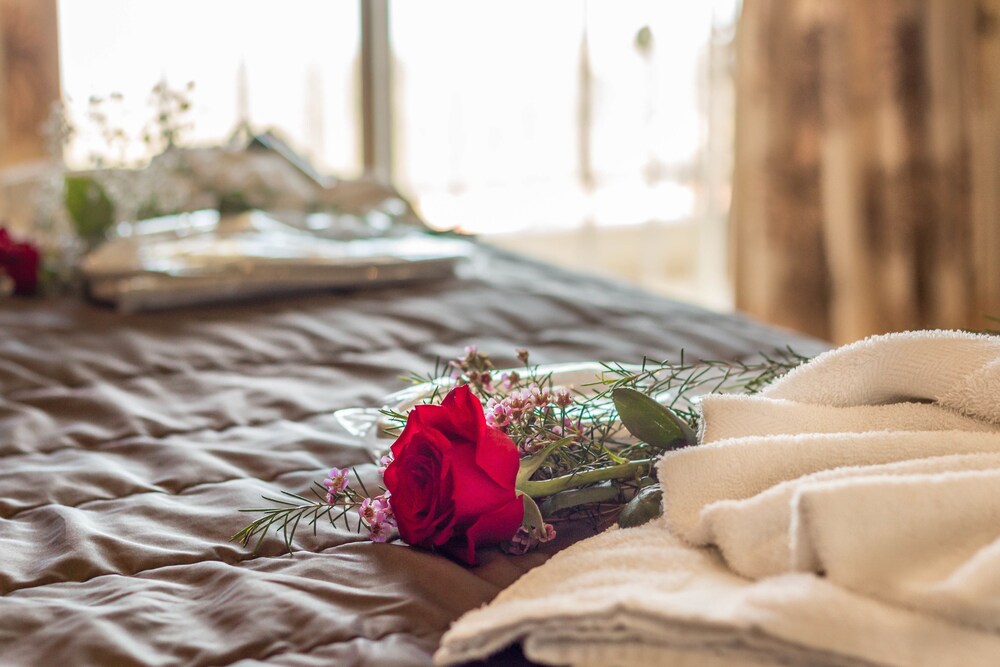 Studio, Sea View - Guestroom