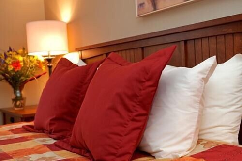 In-Room Amenity