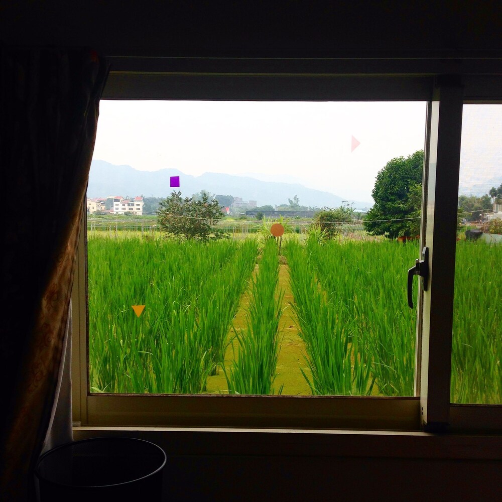 Guestroom View