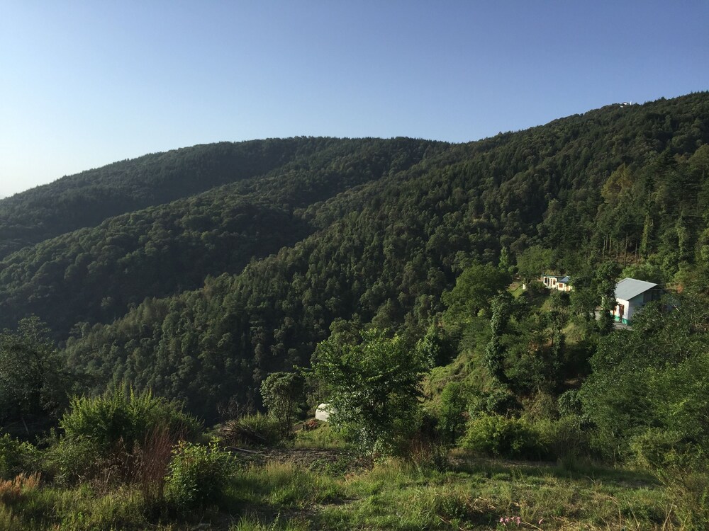 View from Hotel