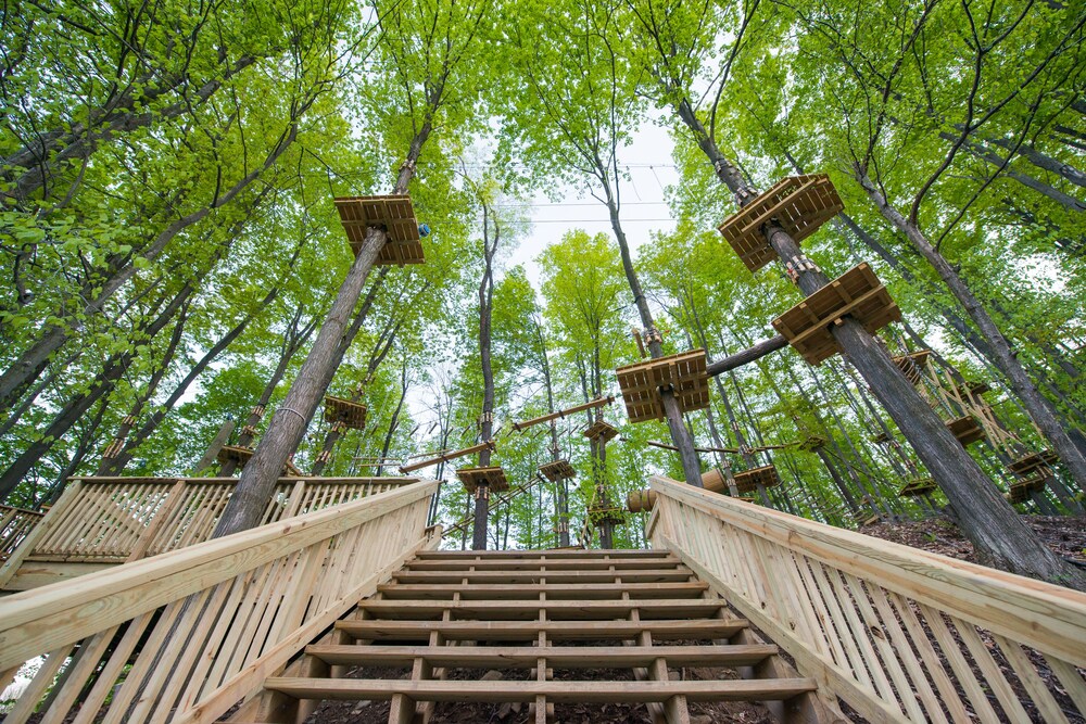 Ropes Course (Team Building)